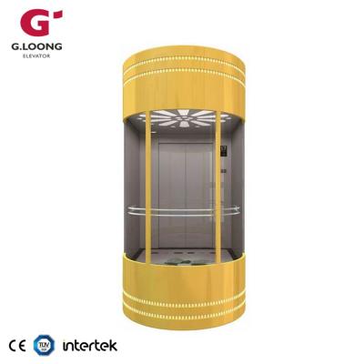 China Scandinavian ISO Approved 320kg 400kg Design Luxury Home Residential Elevator Small Home Elevator for sale