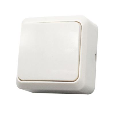 China Phosphor Silver Alloy Copper EU Russia Exterior Wall Mounted Electrical Switch for sale