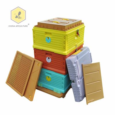 China Newest Farms Beekeeping Equipment Hive Beekeeping Equipment Plastic Thermo Bee Hive 10 Frames for sale