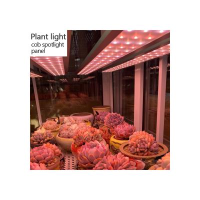 China Accent Meat Fill Light Plus Version Full Color Spectrum Household LED Plant Growth Imitation Light Indoor Sunlight for sale