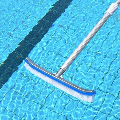 China New Brand Heavy Duty Pool Wall Cleaning Brush With Alu Handle And Pool Accessories for sale