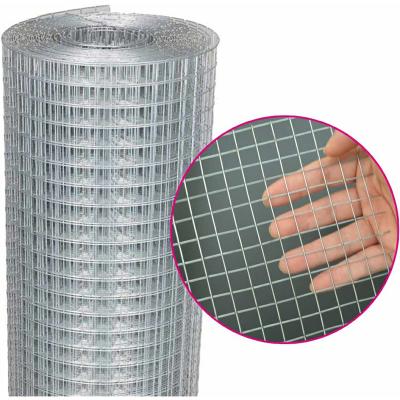 China Corrosion Resistance Steel mesh netting steel wire mesh roll fence protection 304 stainless steel welded wire mesh use for breeding and isolation for sale