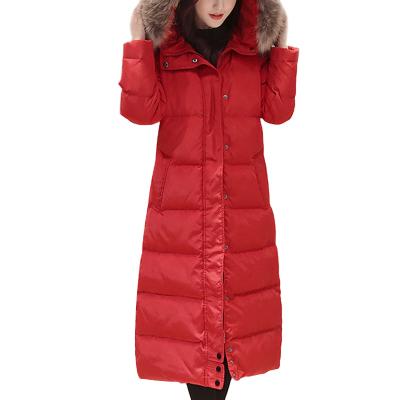 China Plus Size Printed Fabric Women Winter Water Proof Padded Coats Long for sale