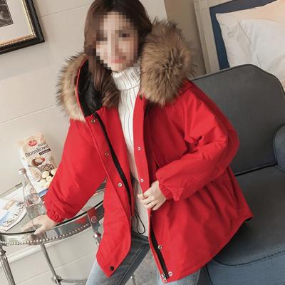 China Plus Size 2019 New Winter Big Collar Cotton Jacket Women Short Hide Padded Padded Jacket for sale