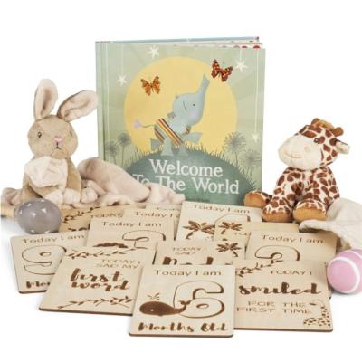 China Best Natural Wood Natural Material Baby Monthly Milestone Cards Baby Milestone Cards Baby Milestone Cards Baby for sale