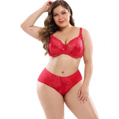 China Antibacterial ultra-thin BS-4 lace plus size European and American sexy women's E underwear cupsize the bra set for sale