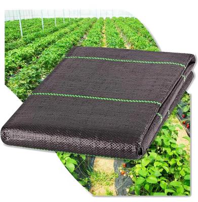 China 2*5m Tear-Resistant PP Weed Mat Black Woven Fabric 90gsm Landscape Weed Control for sale