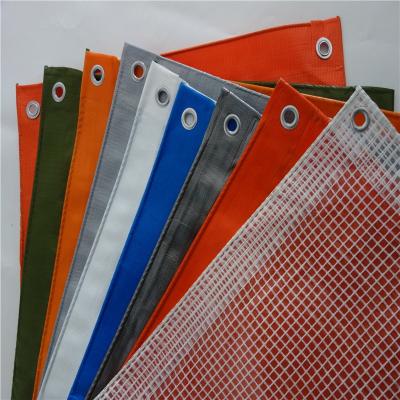 China Plain water resistant and mold resistant fabric, waterproof pe tarpaulin sheet with aluminum eyelet and rope for sale