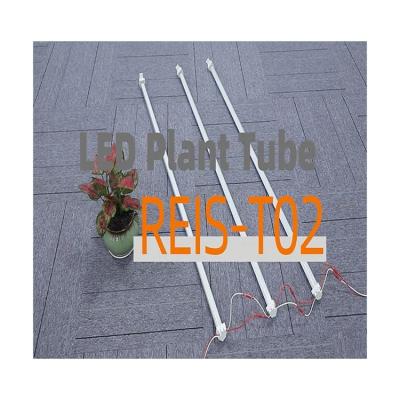 China Seed starting wholesale cheap price best new type led grow light on 31W REIS-T02 for sale