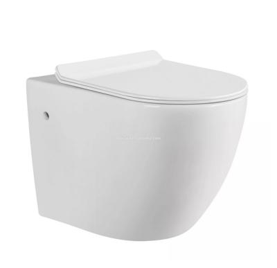 China Sanitary Double-flow China Supplier Take Care Bathroom Wash Down White P-trap Wall Mounted Toilet Hidden Tank Wall Hanging Ceramic Toilet for sale