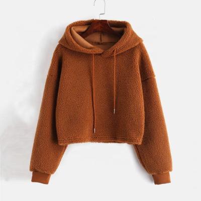 China 2021 fashion custom autumn and winter regular thick sherpa teddy zipper fleece hoodie for kids for sale