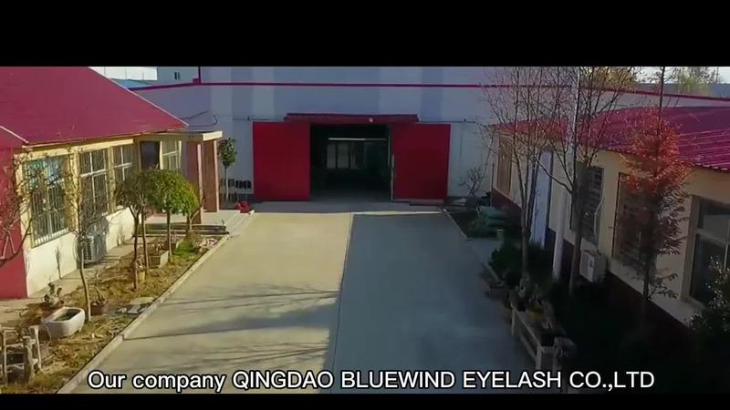 Verified China supplier - Qingdao Bluewind Eyelash Co., Ltd.