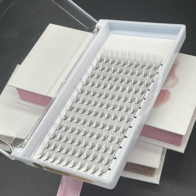 China Long Big Natural 14D Private Label Tray 320 Pre Fanned Volume Eyelash Extension Whips Short Rod Pre Fanned Spiked Bass Premade Fans for sale