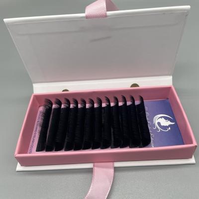 China Easy Fans Create Unique Hot Sale Fan Easy Eyelash Extensions Bulk Design 2d.3d.4d.5d.10d Eyelash Extension Professional for sale