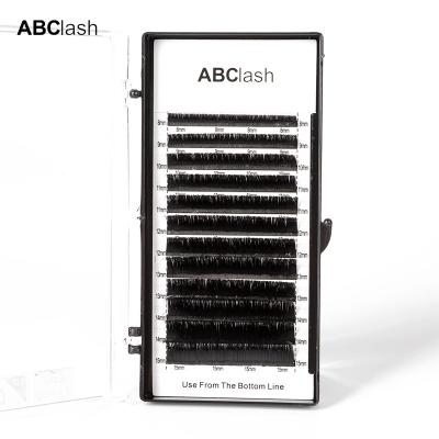 China Long Lasting Volume Slik Private Label Eyelash Extensions Easy Fanning Lashes for sale