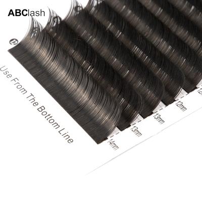 China Softer Fan Cashmere Fan Eyelash Vendor Volume D Easy Curl Quick Lashes for sale