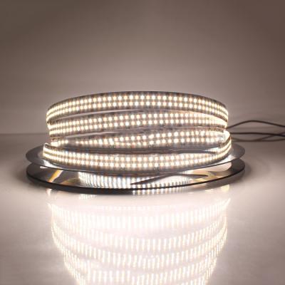 China Warehouse Super High Light Output 2216 Bi Color Led Strip 560led/m , Double Row CCT Bi Color 2216 Adjustable Led Strip for sale