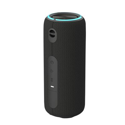 China Lightweight 0.55kg RGB Bluetooth Speaker With Passive Radiators Waterproof IPX7 for sale