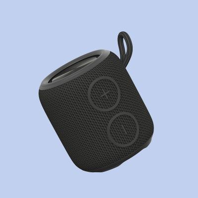 China Premium 5.3 Bluetooth IPX7 Waterproof Wireless Speaker TWS Function for sale