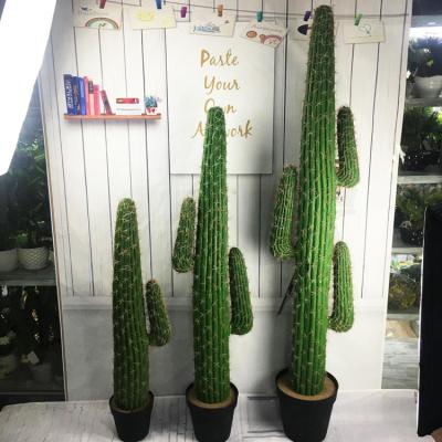 China Amazon Hot Selling Minimalist Wedding Decoration Tropical Plants Succulent Cactus Potted Plants Artificial Plant for sale