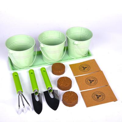 China Outdoor Hot Selling High Quality Customized Initiator Planting Kit For Indoor Herb Garden Potted Plants for sale