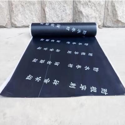 China Modern 3mm roof is planted with root-resistant pierced outdoor waterproof roof wall copper tire base SBS coil for sale