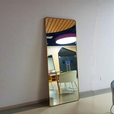 China Decorative Glass Mirror Price 6mm Standard Sizes Rectangle Wall Mirror for sale