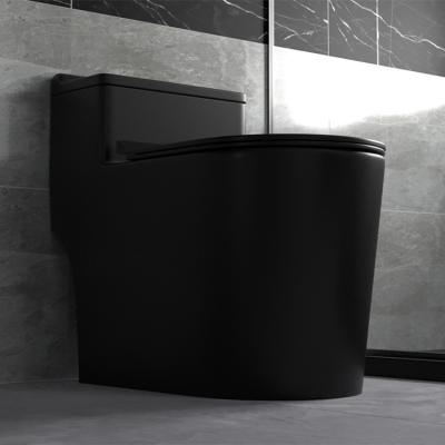 China Double-Flow High Quality Inodoro Matte Black Sanitary Ware Ceramic Floor Standing One Piece Toilet Bowl for sale