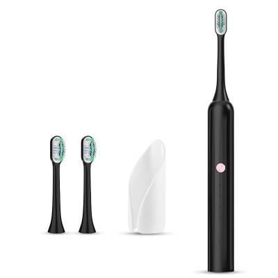 China Custom Wholesale Smart 360 Electric Toothbrush Household OEM Adult Sonic Toothbrush Interactive Toys Best Gifts for sale