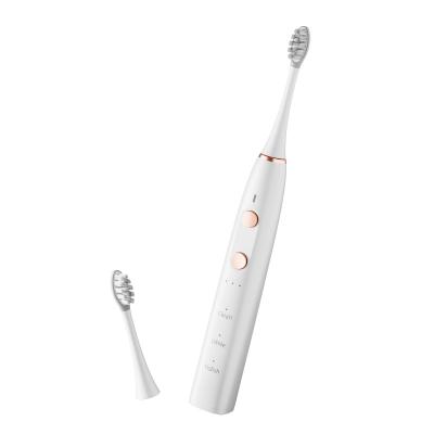 China Silicone Eco Newest Sonic Electric Toothbrush Adult Car Guangdong Manufacturing Material for sale