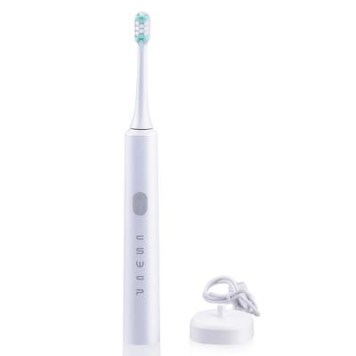 China Dynamic Cleaning Charcoal Stiffeners Factory Customized Toothbrushes Factory Customized Electric Sonic Toothbrush Private Label for sale