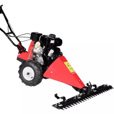 China Wholesale Direct Deal China Grade 4-Stroke Industrial Convenient Garden Machinery Gasoline Portable Lawn Mower for sale