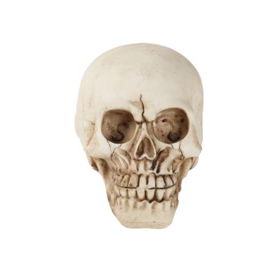 China Customized Global High Quality Resin Skull Halloween Ornaments Holiday Party Environmentally Friendly Decoration for sale