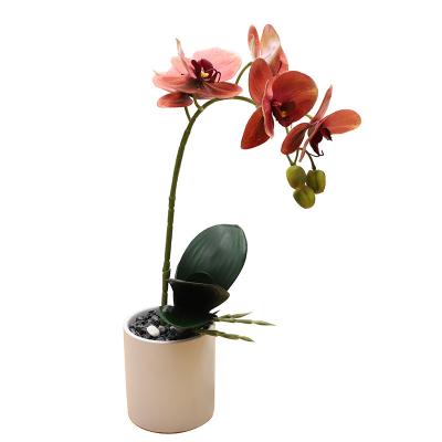 China High Quality Touch Orchid Flowers Home Decotation New Real Artificial Design With Potted Pot For Wedding Home Decoration for sale