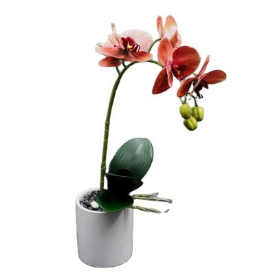 China Wholesale Home Decotation High Quality Potted Real Orchid Artificial Plants With Flowers For Pot House Decoration for sale