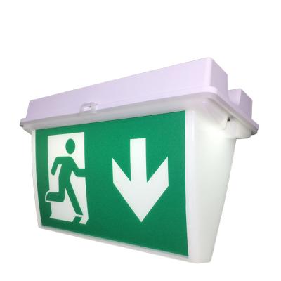 China CB 220V 240V Emergency Exit Panel Emergency Exit Sign CE Certified High Quality Hot Selling Acrylic Light for sale