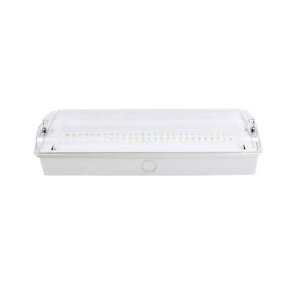 China 2021 Professional Waterproof High Quality Emergency LED Light IP65 Emergency Bulkhead Light for sale