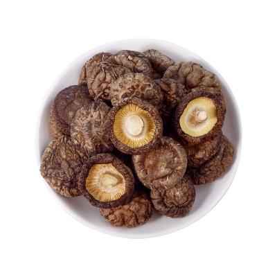 China Dry wholesales 2022 new culture Chinese dried mushroom100% natural freeze-dried good quality dehydrated mushroom low price for sale