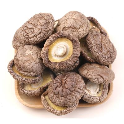 China Factory direct sales 100% natural dry mushroom flakes raw material dried mushroom flavors high quality dry mushroom for sale for sale