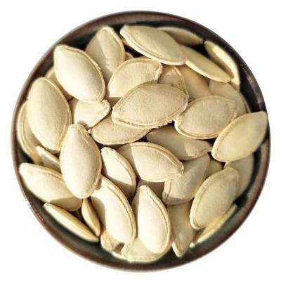 China China Dried Nut and Dried Fruit Supplier Wholesale Pumpkin Seeds For Sale Max Bag Premium Shine Crop Style China Raw Pumpkin Seeds for sale