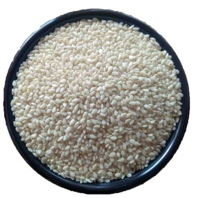 China China Food Place of Origin Directly Sells Good Quality White Food Ingredients Cooking Sesame Seeds Wholesale White Sesame Seeds with Low Price for sale