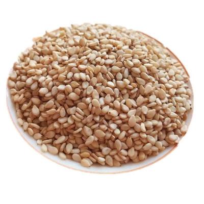 China Food sells 2022 Good Quality Roasted White Sesame Seeds Wholesale New Culture White Traditional Food Sesame Seeds from China with low price for sale