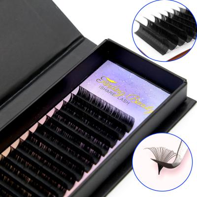 China Mink Quick Easy Eyelash Extension De Pestanas Classic Lash Extension de Venda Quente Free Sample Fan Volume Lasting for sale