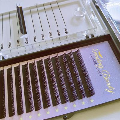 China Lasting Eyelash Extension Professional Set 0.03 0.05 Handmade Loose Eyelash Extension Korean PBT Eyelash Extensions for sale