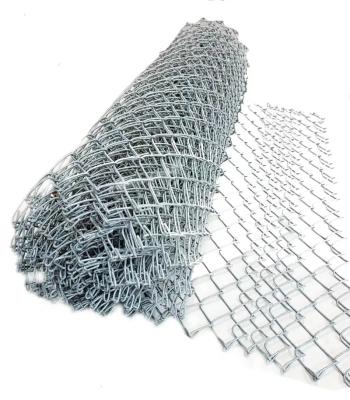 China Easily Assembled Customized Size Wire Fencing Chain Link Fence Hot Dipped Galvanized Garden Poultry Netting/Fencing for sale