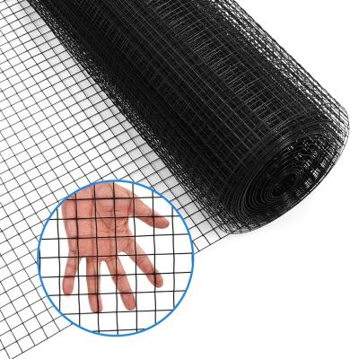 China Plain weave 1x1inch galvanized welded wire mesh pvc coated welded wire mesh hardware cloth for poultry fence for sale