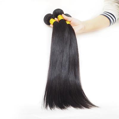 China Body wave newcomer hotsale virgin cuticle lined raw virgin brazilian mink hair seller for sale