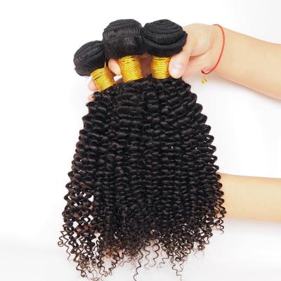 China Custom Afro Wave Label Factory Wholesaler Price Deep Ends 100% Virgin Brazilian Afro Kinky Curly Weave Hair for sale