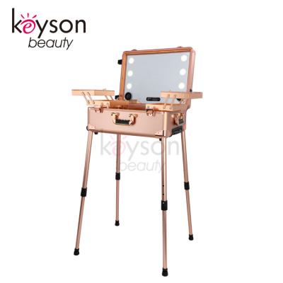 China Fashion Keyson Makeup Artist Train Case With Light Mirror Makeup Rolling Case With Lights Trolley Cosmetic Case for sale