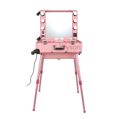 China Professional Fashion Private PK LED Makeup Trolley Beauty Case Make Up Case Aluminum Makeup Train Case With Lights Mirror for sale